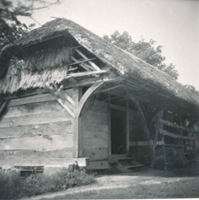 eika image